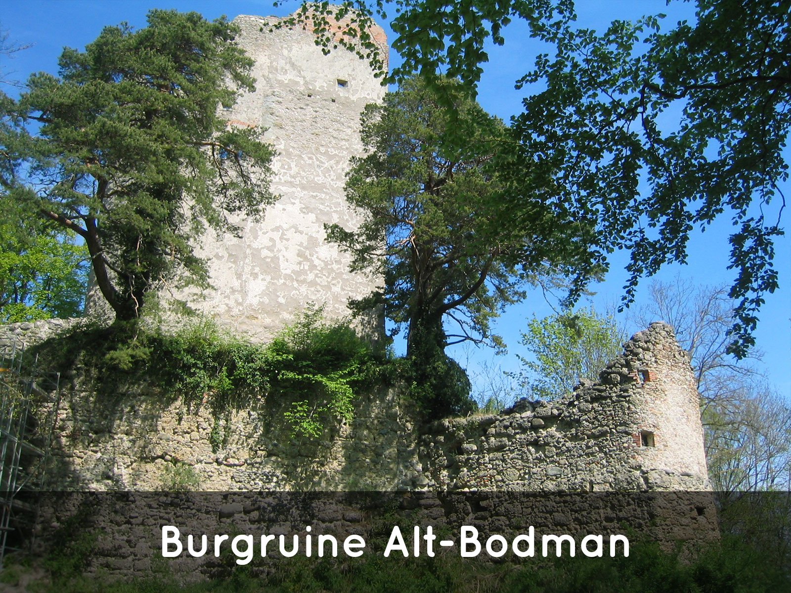 https://www.reichenau-tourismus.de/attraktion/burgruine-alt-bodman-49b80a77b5